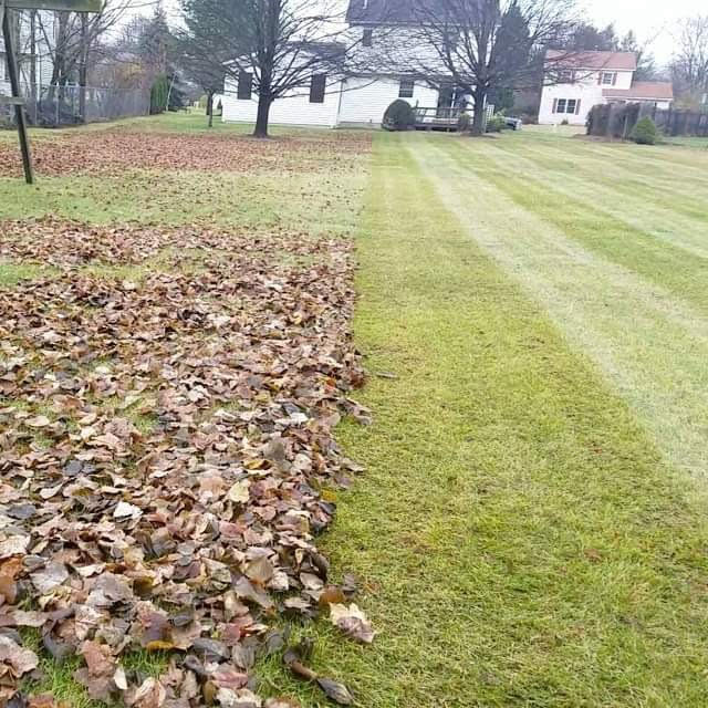Fall cleanup